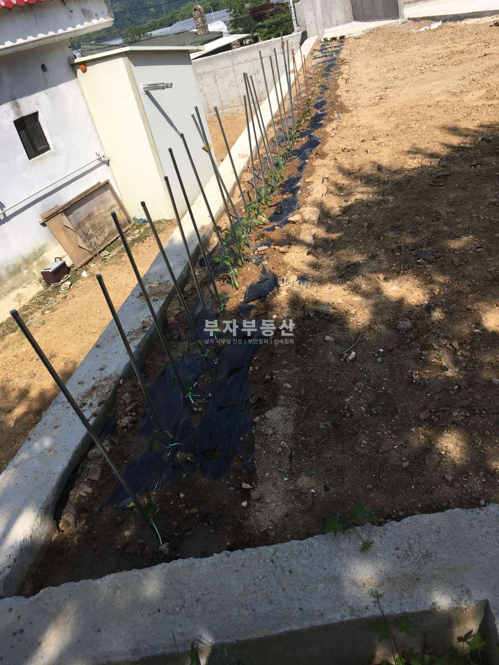 경기 광주시 퇴촌면 정지리 실 265 퇴촌면 정지리 상가주택 허가득 부지 매매 총5필지 매매 매물번호 10296 사진 8